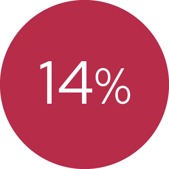 CAP Métiers de la Coiffure 33%